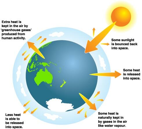 Climate change facts: global climate change