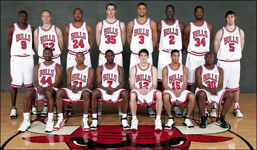 Illinois facts: Chicago Bulls basketball team