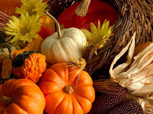 Thanksgiving facts: vegetables