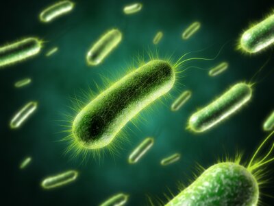 Health facts: bacteria