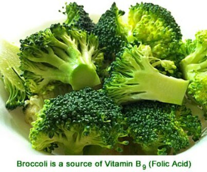 Facts about vitamin B - Broccoli