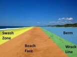 10 Interesting Facts about the Beach