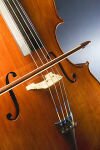10 Interesting Facts About The Cello