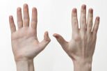 10 Interesting Facts about The Hand