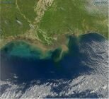 10 Interesting Facts about the Gulf of Mexico