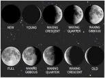 10 Interesting Facts about the Moon Phases