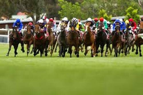 Facts about the Melbourne Cup
