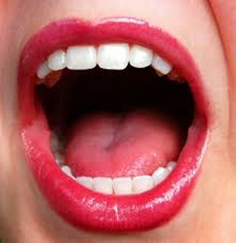 facts about the Mouth