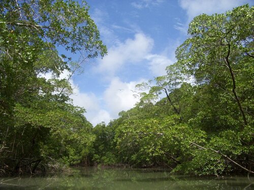 Amazon River facts: Location