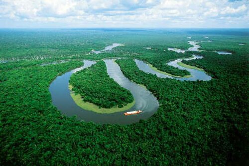Amazon River facts: curvy flow of water
