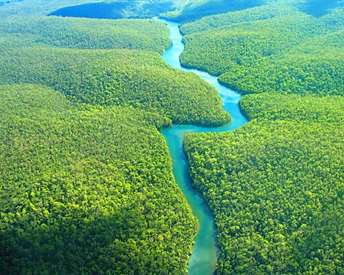 Amazon rainforest facts: Brazil