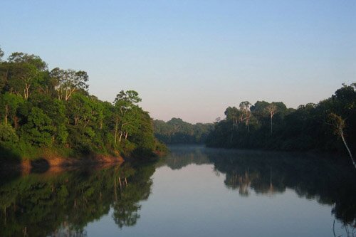 Amazon rainforest facts: Location