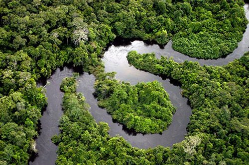 Amazon rainforest facts River