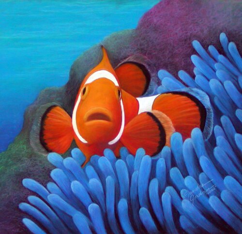 Clown fish facts: Cute Clown Fish