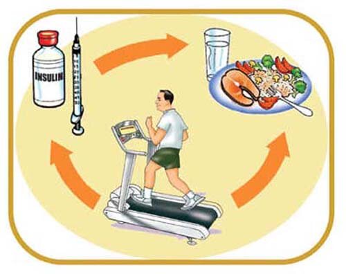 Diabetes facts: healthy cycle