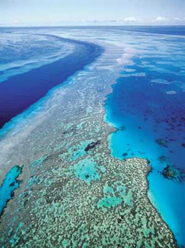 Ocean facts: great barrier reef