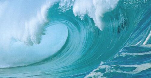 Ocean facts: wave