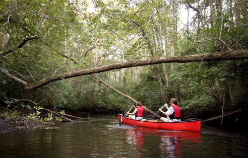South Carolina facts: Edisto River Canoe & Kayak Trail