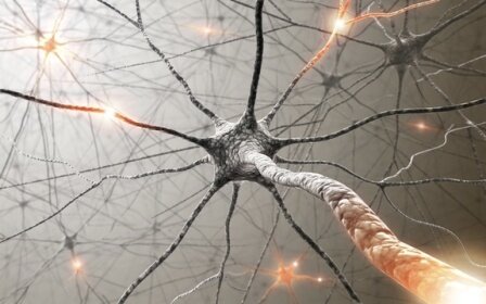 10 Interesting Facts about the Nervous System