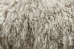 10 Interesting Facts about Wool