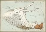 10 Interesting Facts about the Constellation Pegasus