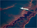 10 Interesting Facts about The BP Oil Spill