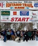 10 Interesting Facts about the Iditarod Race