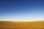 10 Interesting Facts about the Great Plains