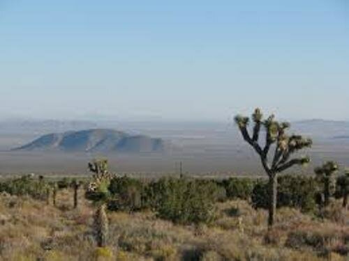 Facts about the Mojave Desert