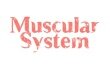 10 Interesting Facts about the Muscular System