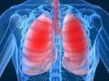 10 Interesting Facts about the Lungs